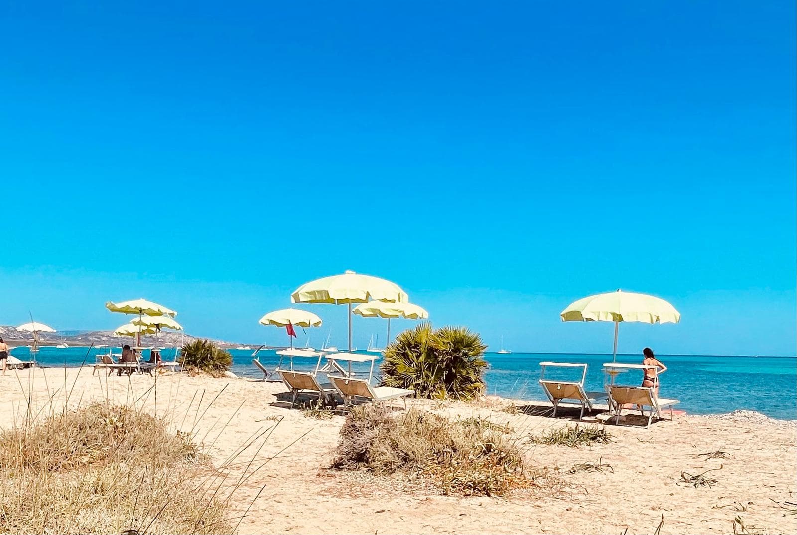Foto Elicriso Beach - Wild Paradise a Stintino (SS)